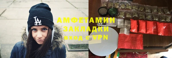 индика Арсеньев