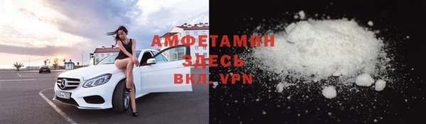 индика Арсеньев