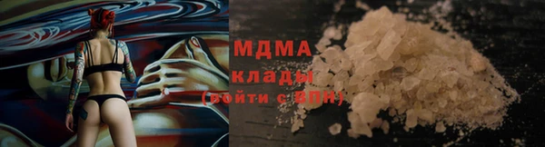 индика Арсеньев