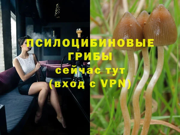 мескалин Балахна