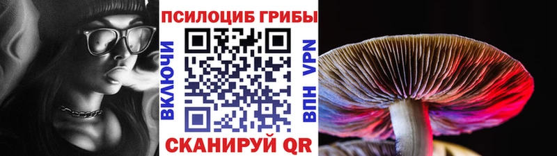 Псилоцибиновые грибы Magic Shrooms  сайты даркнета какой сайт  Волгоград 