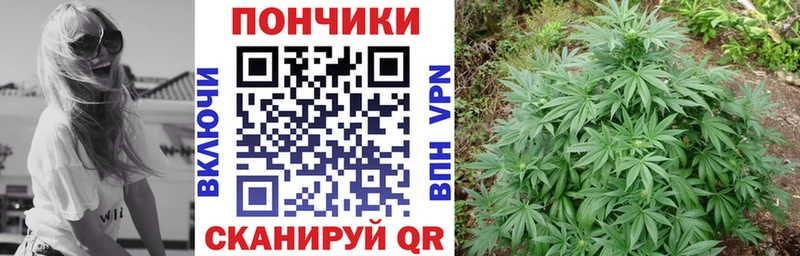 Бошки Шишки марихуана Волгоград